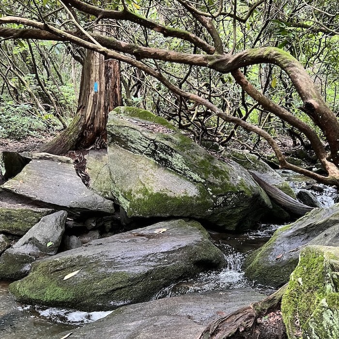 Rocky Stream