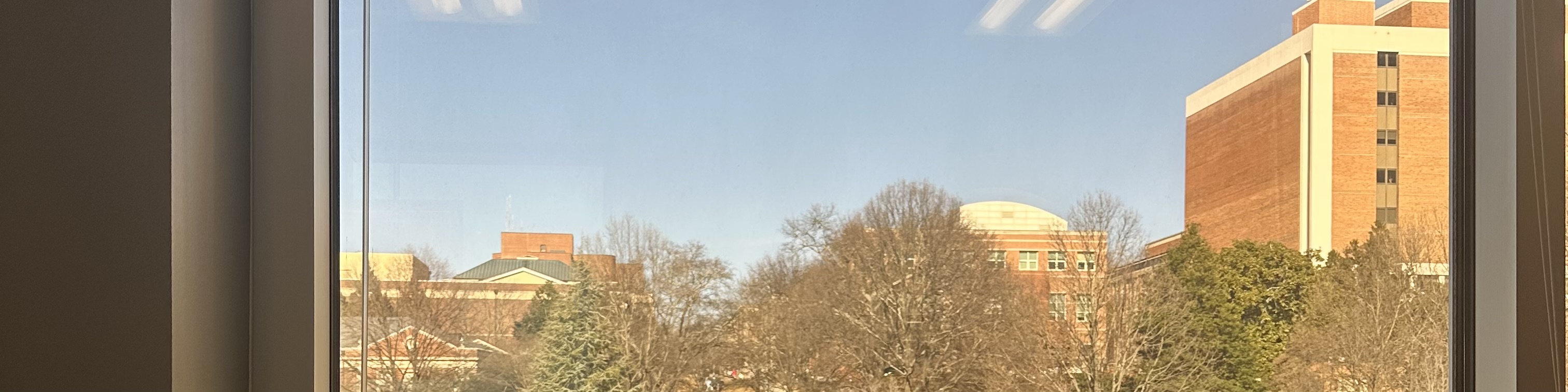 A photo of UGA's North Campus from inside a building.